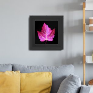 Red Autumn Maple Leaf on Black Background Framed Art