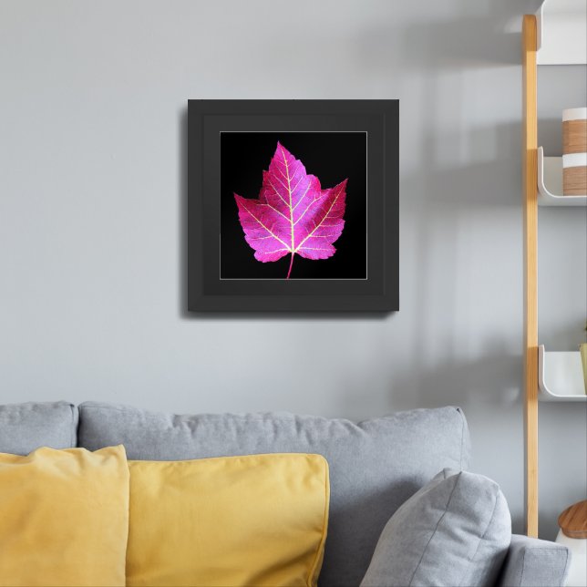 Red Autumn Maple Leaf on Black Background Framed Art (Living Room 3)