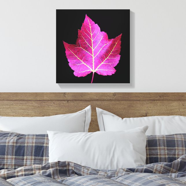 Red Autumn Maple Leaf on Black Floral Canvas Print (Insitu(Bedroom))