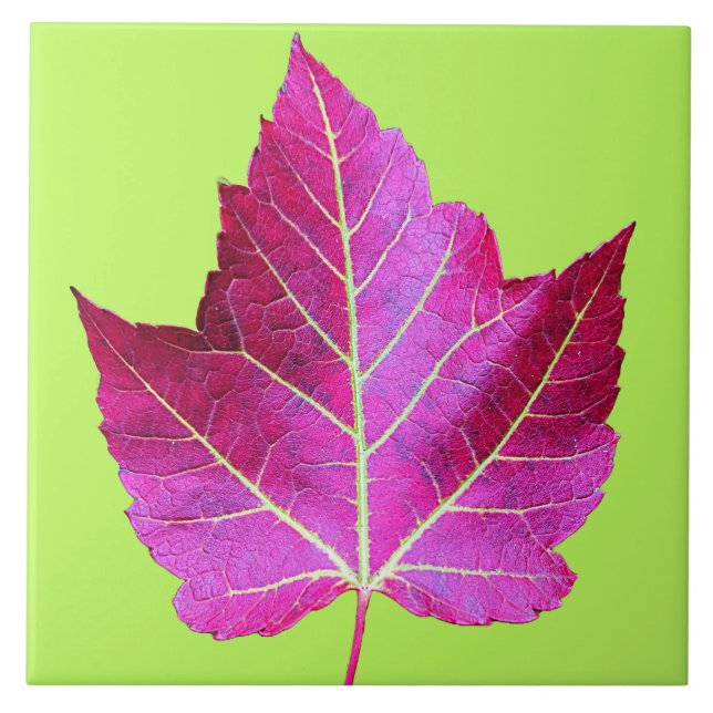 Red Autumn Maple Leaf on Green Background Ceramic Tile (Front)
