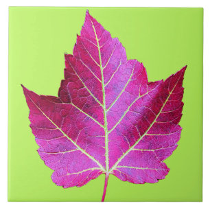 Red Autumn Maple Leaf on Green Floral Ceramic Tile