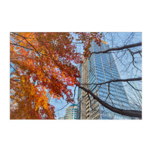 Red Autumn Maple Leaves and Skyline Cityscape Acrylic Print