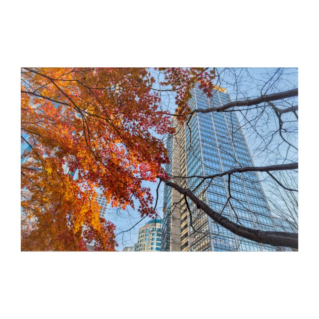 Red Autumn Maple Leaves and Skyline Cityscape Acrylic Print (Front)