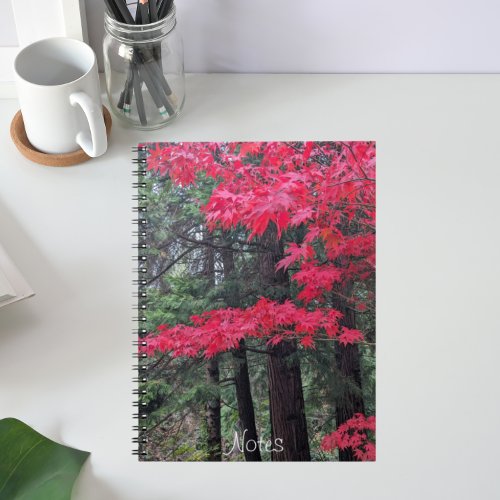 Red Autumn Maple Leaves Notebook