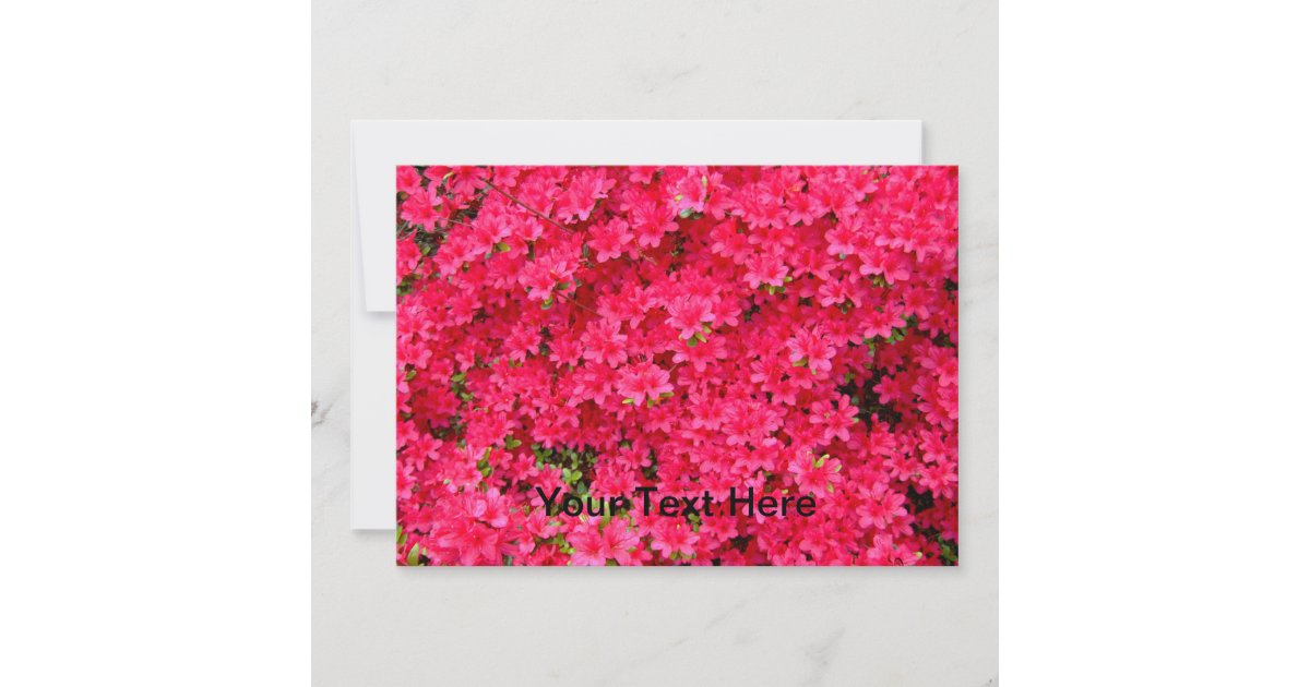 Red Azalea Flower Patch Invitation | Zazzle