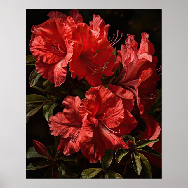 Red Azalea Flowers Art Print Poster (Front)