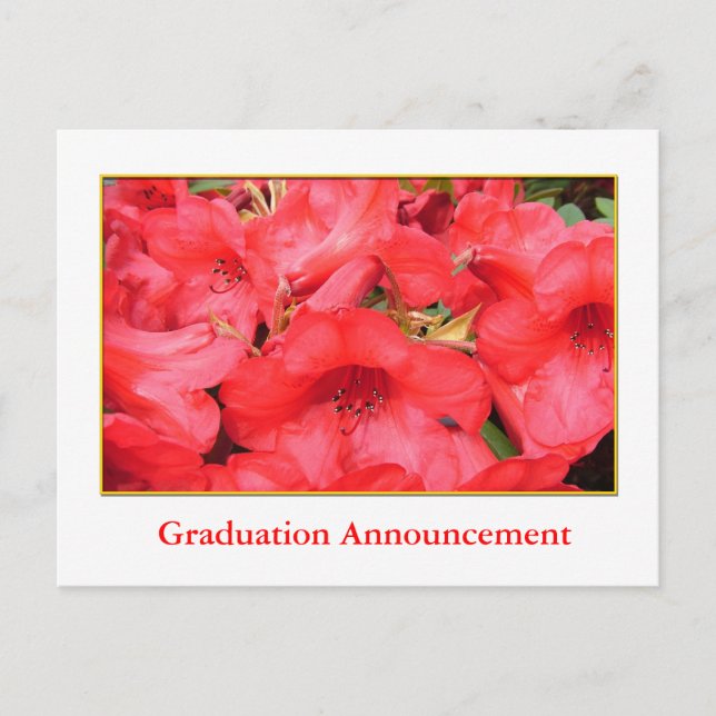 Red azalea flowers graduation announcement (Front)
