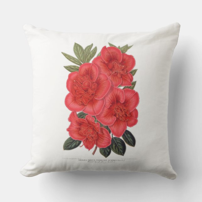 Red Azalea indica pillow (Front)