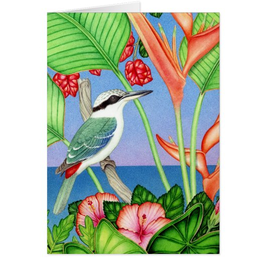 Red-backed Kingfisher Cards (Front)