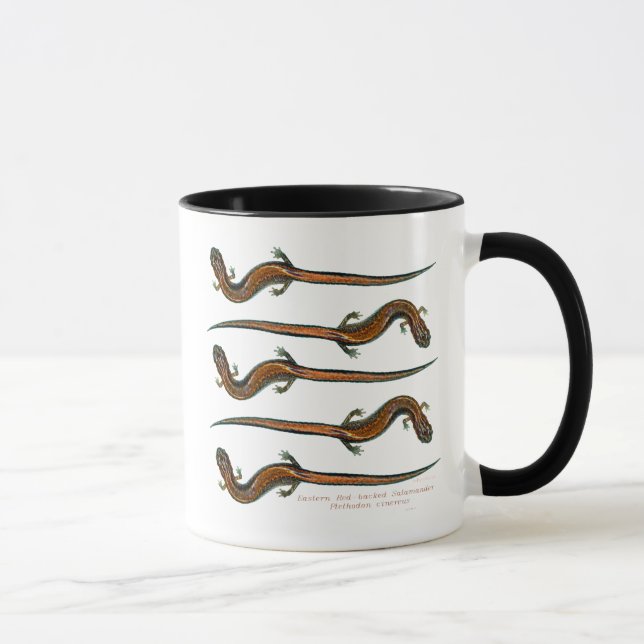 Red Backed Salamanders Mug (Right)