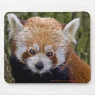 Red Bandit Mouse Pad