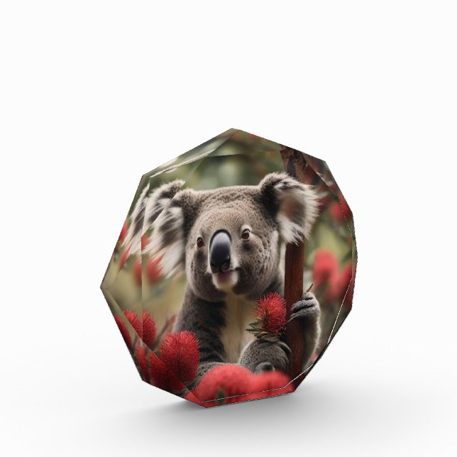 Red Banksia Tree With Koala Bear, Photo Block (Left)