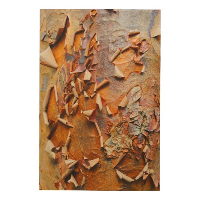 Red Bark Wood Wall Art (Front)