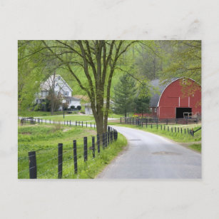 Red barn and farm house near Berlin, Ohio. Postcard
