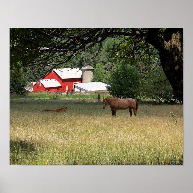 Red Barn And Horses Poster (Front)