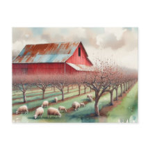 Red barn and pistachio orchard