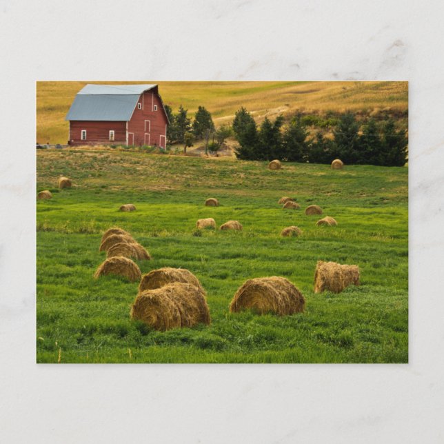 Red Barn, hay bales, Albion, Palouse Area 2 Postcard (Front)