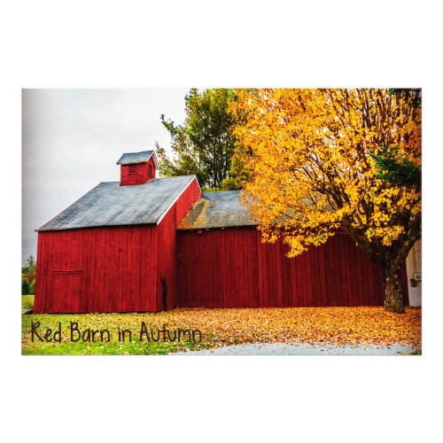 Red Barn in Autumn Photo Print