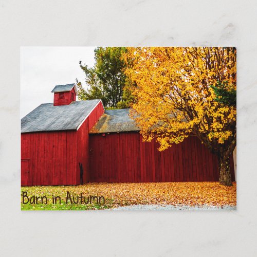 Red Barn in Autumn Postcard