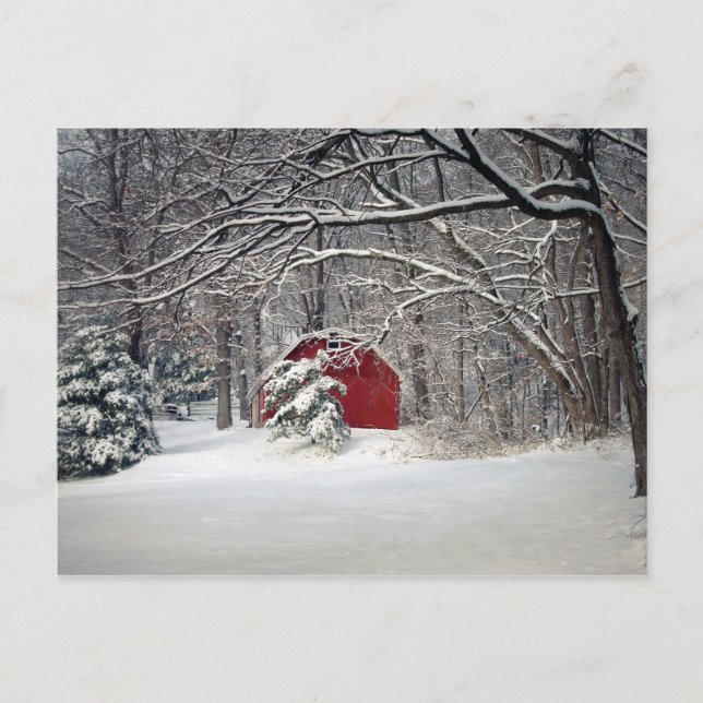 Red Barn in the Snow 2011 Postcard (Front)