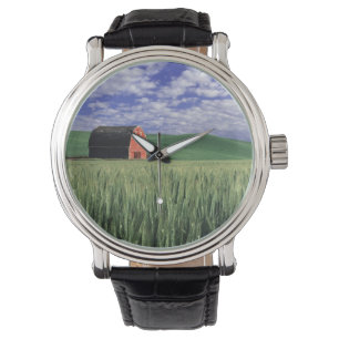 Red barn in wheat & barley field in Whitman 2 Watch