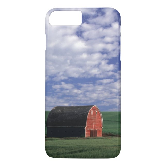 Red barn in wheat & barley field in Whitman Case-Mate iPhone Case (Back)
