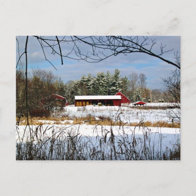 Red Barn in Winter, Scenic Landscape Postcard (Front)