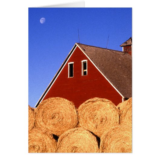 Red Barn Moon Cards (Front)