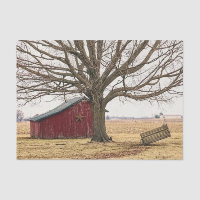 Red Barn With an Epic Tree and a Hanging Bench Tissue Paper (Front)