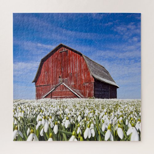 Red Barn With Snowdrops Jigsaw Puzzle