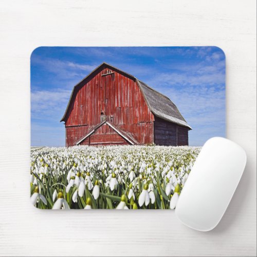 Red Barn With Snowdrops Mouse Pad