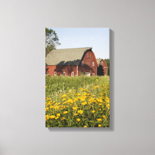 Red Barn with Yellow Wildflowers Canvas Print
