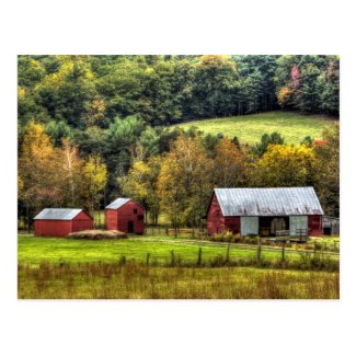 Red Barns Autumn Fall Virginia Countryside Postcard
