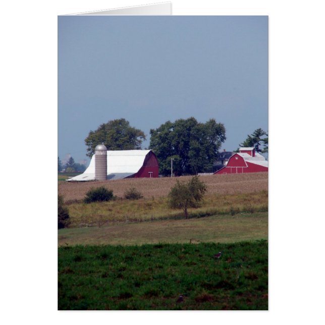 Red Barns Cards (Front)