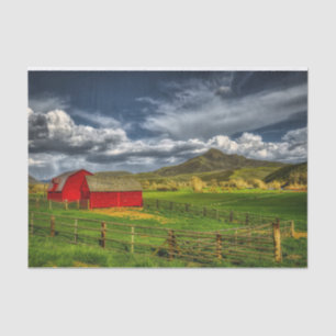 Red Barns Green Grass Field Squaw Mountain, WA Tissue Paper