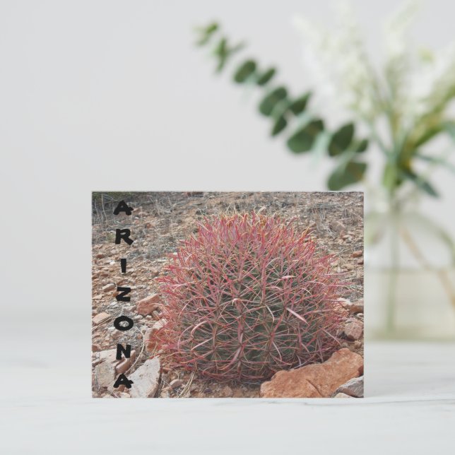 Red Barrel Cactus Desert Plant Arizona Greeting Postcard (Standing Front)