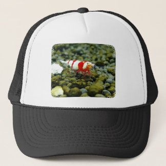 Red Bee Products & Gift shop Trucker Hat