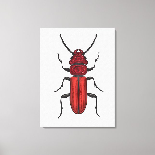 Red beetle canvas print (Front)