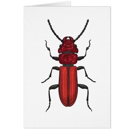 Red beetle cards (Front)