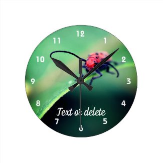 Red Beetle Insect Close Up Personalized