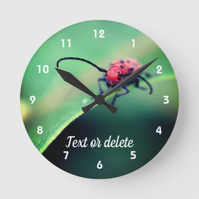 Red Beetle Insect Close Up Personalized Round Clock (Front)