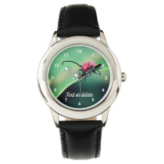 Red Beetle Insect Close Up Personalized Watch