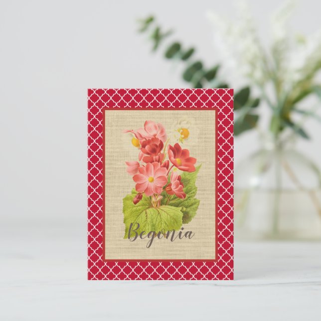 Red Begonia Botanical and Quatrefoil   Postcard (Standing Front)