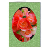 red begonia flowers (Front)