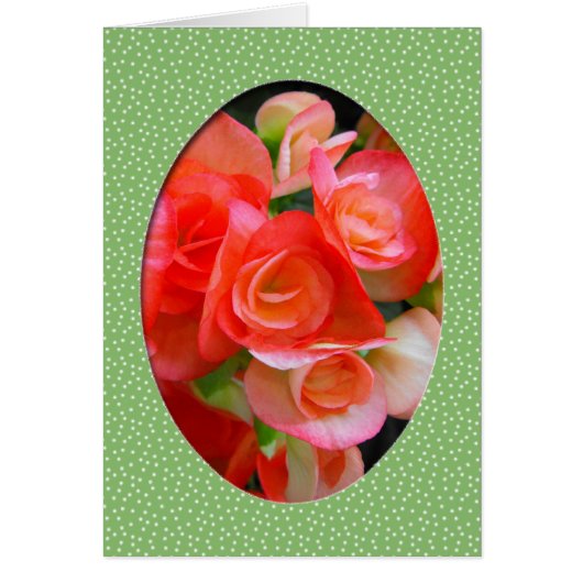 red begonia flowers cards (Front)