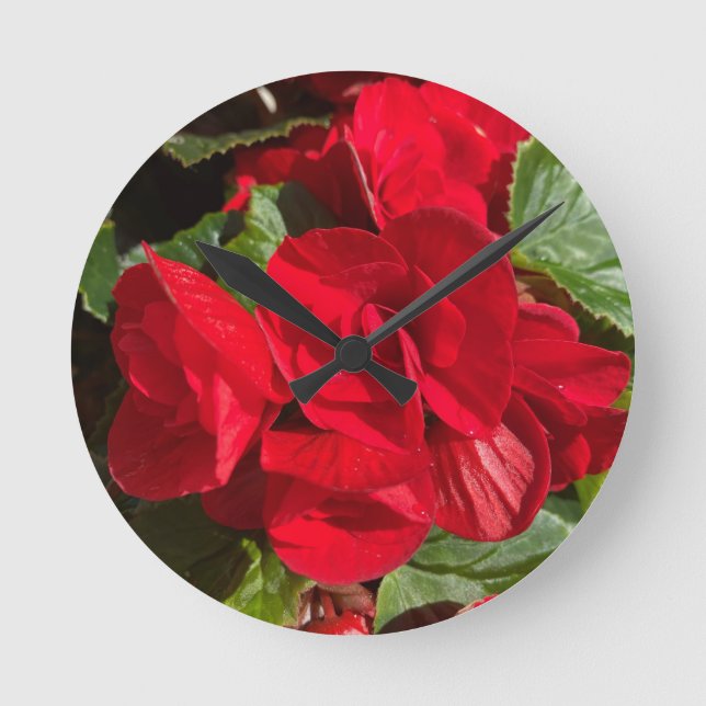 Red Begonia Hiemalis Round Clock (Front)