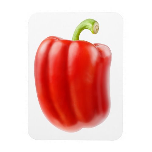 Red bell pepper magnet