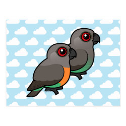 Red-bellied Parrot Pair Postcard