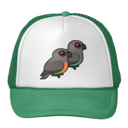 Red-bellied Parrot Pair Trucker Hat