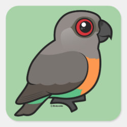 Birdorable Red-bellied Parrot Square Sticker
